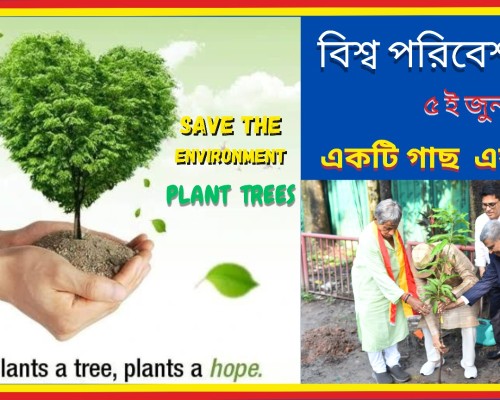 ৫ ই জুন, বিশ্ব পরিবেশ দিবস